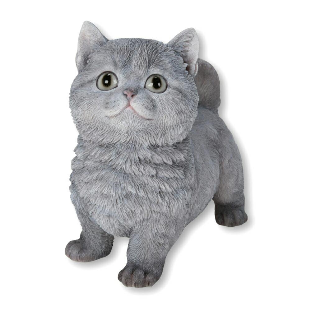 新政カラーズ　ヴィリジアン2本、アース2本PRIVATELAB　亜麻猫3本 新品入荷 新政 亜麻猫 3本セット 日本酒 - 日本酒