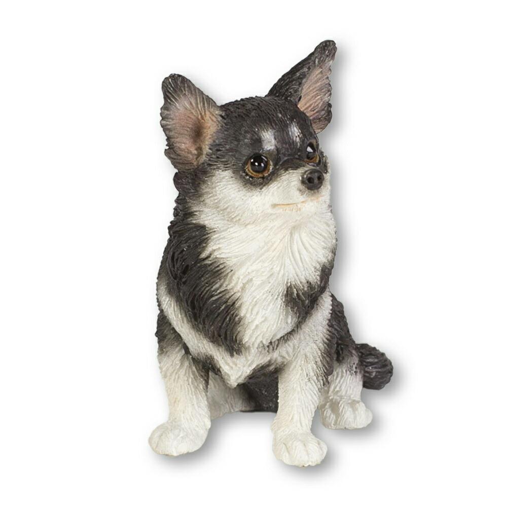 チワワ（お座りポーズ） お座り チワワ 犬 横向きの写真素材 - PIXTA