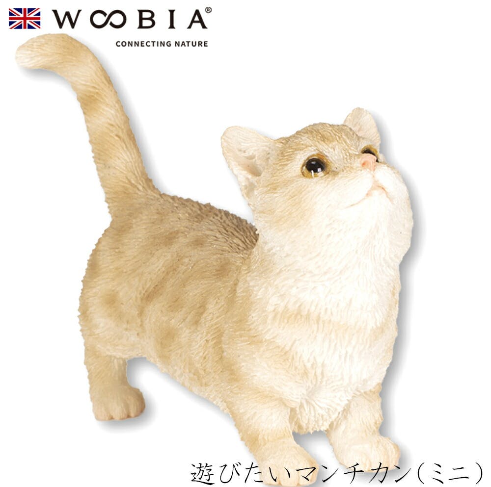 (幅6cm×奥行2.5cm×高さ5cm)猫 ねこ ネコ cat かわいい 置物 リアル 動物 おしゃれ インテリア ガーデニング イギリス 人形 オーナメント ガーデン置物人形 (幅6cm×奥行2.5cm×高さ5cm)猫 ねこ ネコ cat かわいい 置物 リアル 動物 おしゃれ インテリア ガーデニング イギリス 人形 オーナメント ガーデン置物人形
