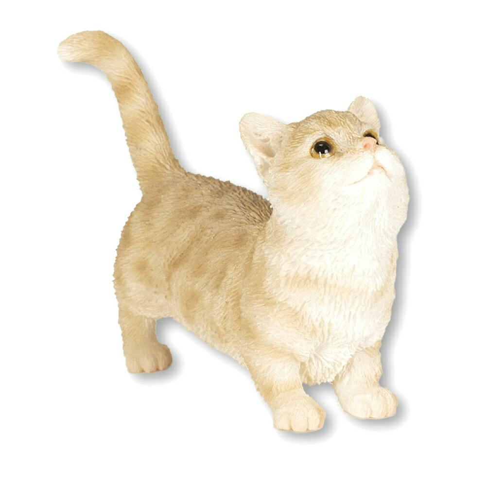 セール特価 Woobia (幅6cm×奥行 【遊びたいマンチカン（ミニ）】 ウービア その他