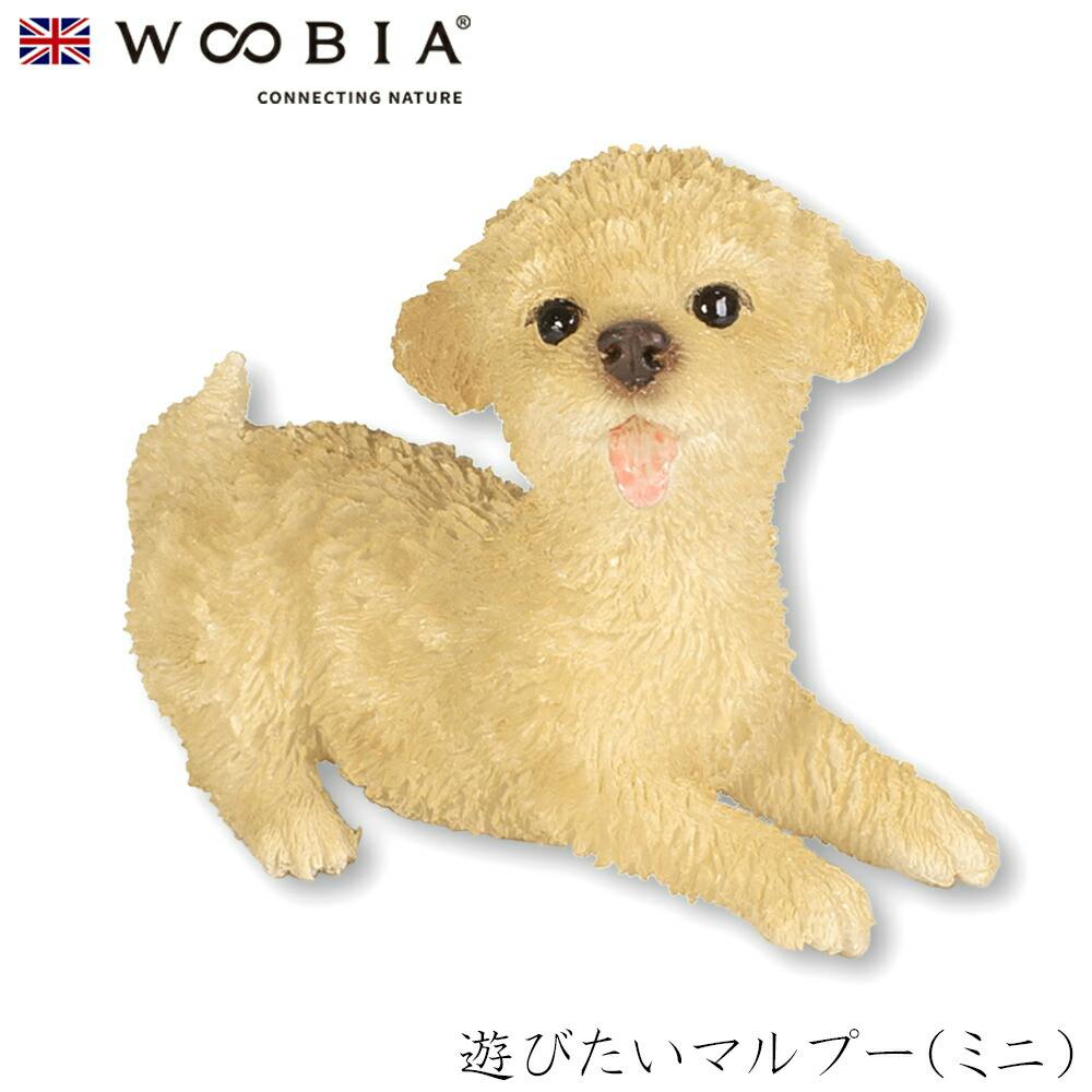 (幅5cm×奥行2.2cm×高さ3.5cm)犬 いぬ イヌ ドッグ dog かわいい 置物 リアル 動物 おしゃれ インテリア ガーデニング イギリス 人形 ガーデン置物人形 (幅5cm×奥行2.2cm×高さ3.5cm)犬 いぬ イヌ ドッグ dog かわいい 置物 リアル 動物 おしゃれ インテリア ガーデニング イギリス 人形 ガーデン置物人形