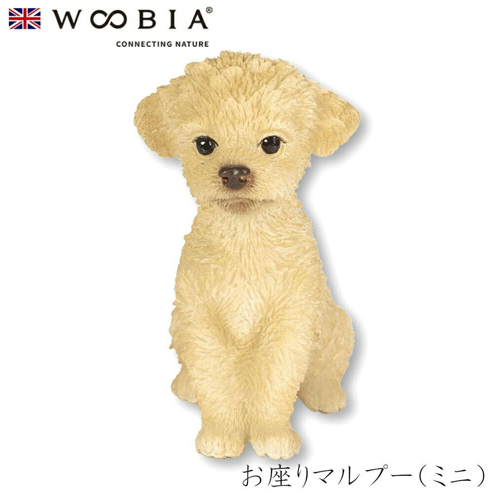 (幅3.6cm×奥行2.5cm×高さ4.5cm)犬 いぬ イヌ ドッグ dog かわいい 置物 リアル 動物 おしゃれ インテリア ガーデニング イギリス 人 ガーデン置物人形 (幅3.6cm×奥行2.5cm×高さ4.5cm)犬 いぬ イヌ ドッグ dog かわいい 置物 リアル 動物 おしゃれ インテリア ガーデニング イギリス 人 ガーデン置物人形