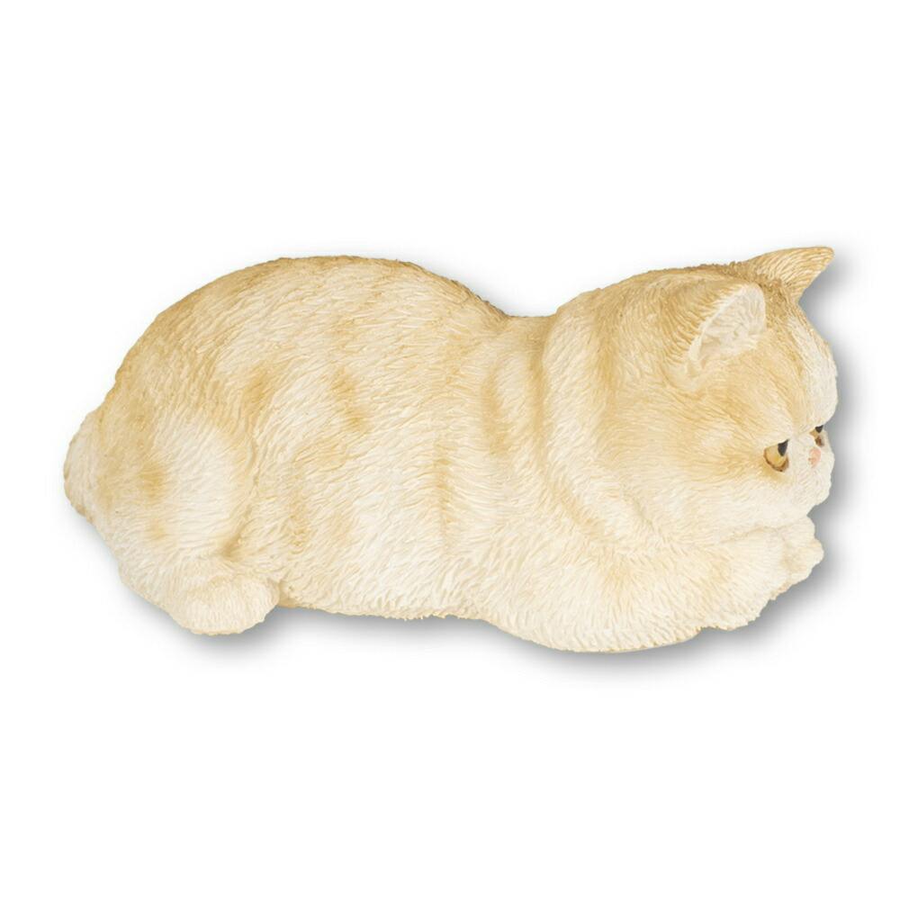 Woobia（ウービア）】【いじけるエキゾチックショートヘア（ミニ
