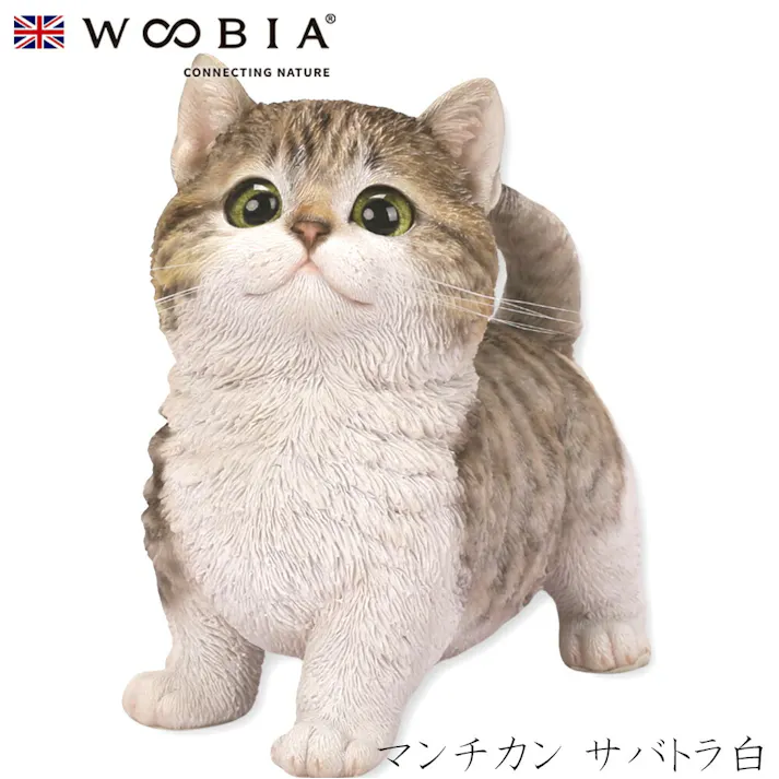 【Woobia(ウービア)】【マンチカン サバトラ白】 (幅16cm×奥行8.5cm×高さ15cm猫 ねこ ネコ cat )かわいい 置物 リアル 動物 おしゃれ インテリア ガーデニング イギリス 人形 オーナメント ペット #4582756148770