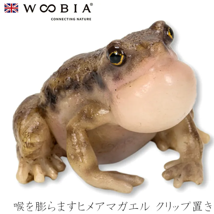 【Woobia(ウービア)】【喉を膨らますヒメアマガエル クリップ置き】 (幅4cm×奥行4cm×高さ3cm)かわいい 置物 リアル 動物 おしゃれ インテリア ガーデニング イギリス 人形 オーナメント ペット #4582756147711