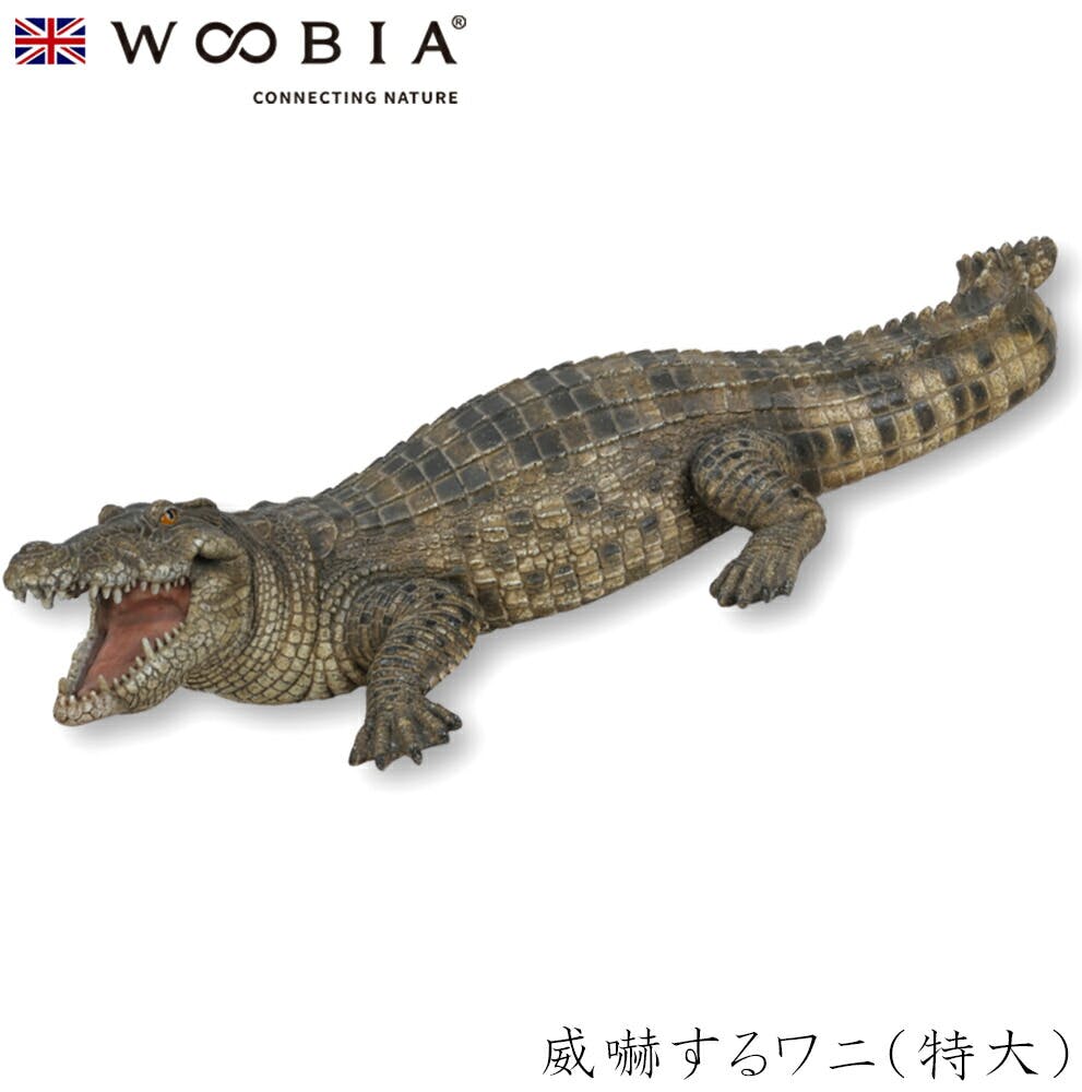 Woobia ウービア 【威嚇するワニ（特大）】 (幅77.5cm×奥行32.5