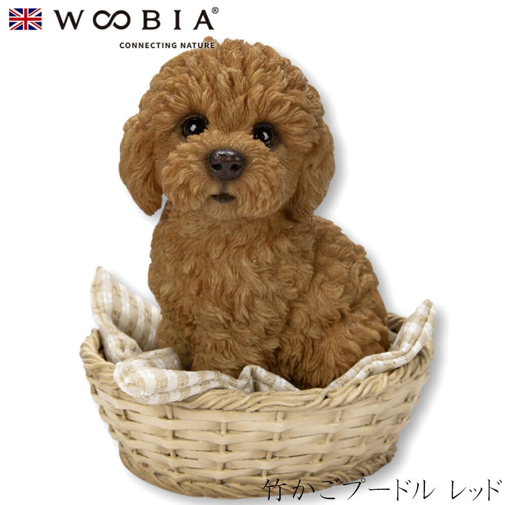 (幅12.5cm×奥行10.5cm×高さ14cm)犬 いぬ イヌ ドッグ dog かわいい 置物 リアル 動物 おしゃれ インテリア ガーデニング イギリス ガーデン置物人形 (幅12.5cm×奥行10.5cm×高さ14cm)犬 いぬ イヌ ドッグ dog かわいい 置物 リアル 動物 おしゃれ インテリア ガーデニング イギリス ガーデン置物人形