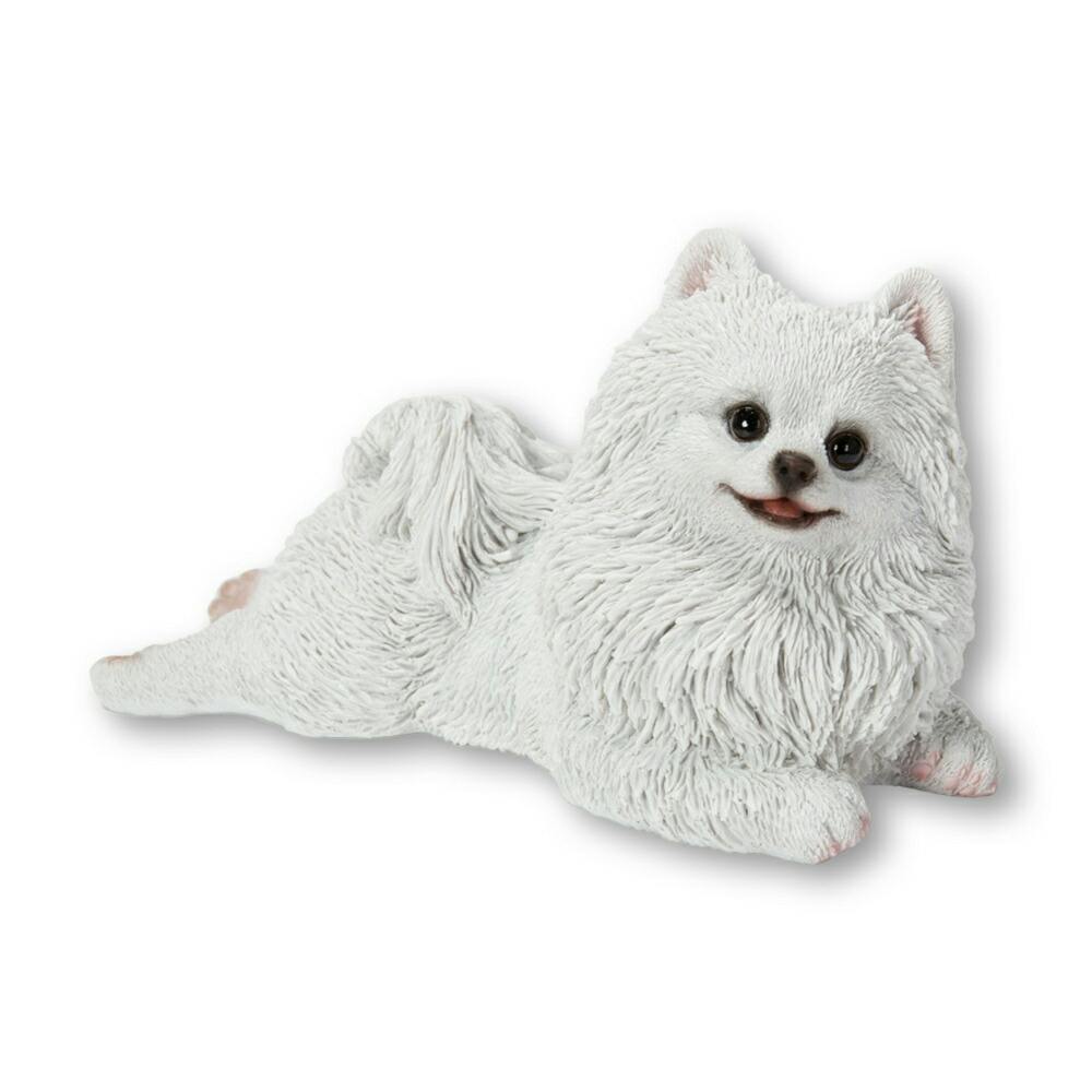 しろい犬 楽天市場】【最大50%OFF CP対象】 マザーガーデン とことこお