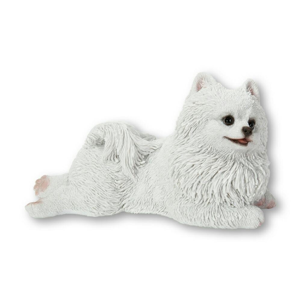 しろい犬 imgrc0071337224.jpg