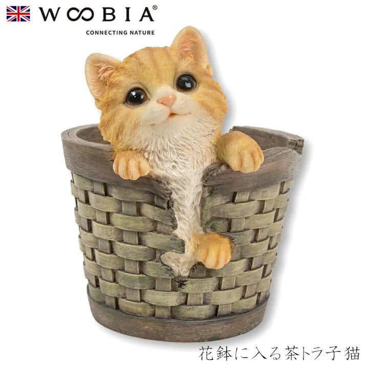 【Woobia(ウービア)】【花鉢に入る茶トラ子猫】 (幅18.7cm×奥行17cm×高さ20.2cm)猫 ねこ ネコ cat かわいい 置物 リアル 動物 おしゃれ インテリア ガーデニング イギリス 人形 オーナメント ペット #4582756150049