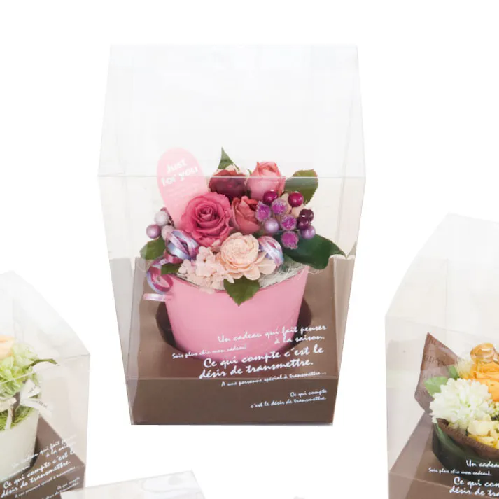 ヘッズ BOX-PET W200(165)×D200(165)×H250mm 10枚 HEADS BKF-FBL