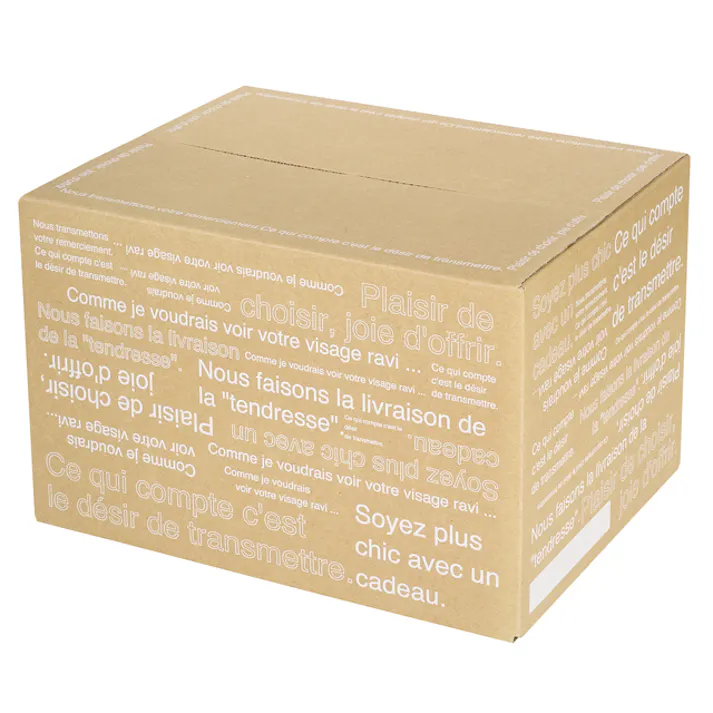 ヘッズ BOX-紙-カートン W410×D320×H264mm 5枚 HEADS CAF-CT1