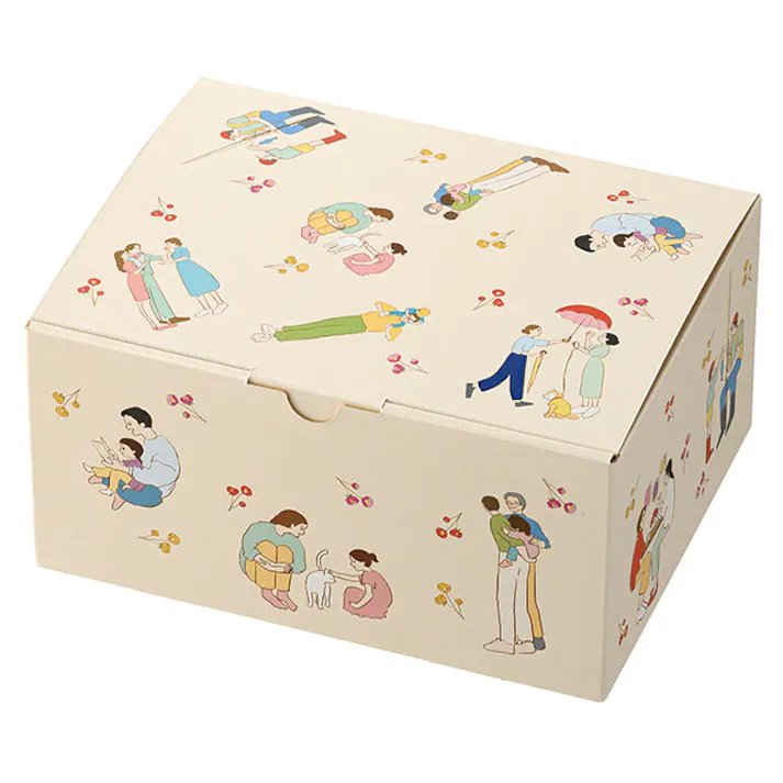 ヘッズ BOX-紙 W222×D171×H109mm 10枚 HEADS CHM-GBS