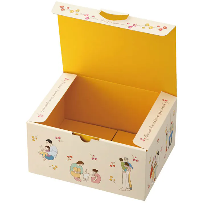 ヘッズ BOX-紙 W222×D171×H109mm 10枚 HEADS CHM-GBS