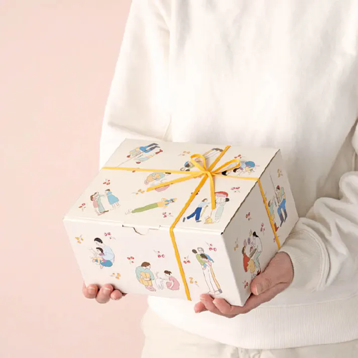 ヘッズ BOX-紙 W222×D171×H109mm 10枚 HEADS CHM-GBS