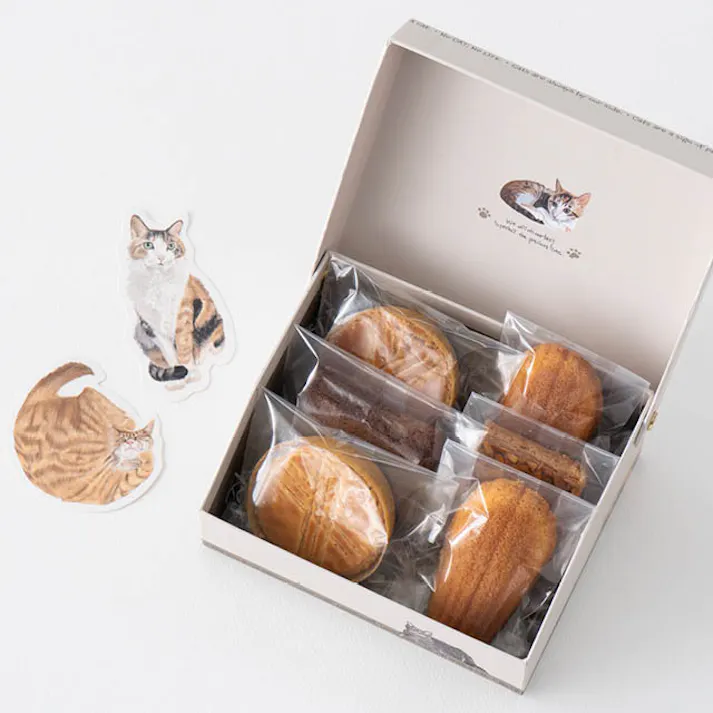 ヘッズ BOX-紙 W162×D132×H72mm ピック:W50×H100mm/W65×H75mm 6個 HEADS CHRA-COB1