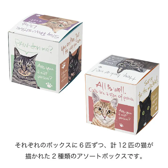 ヘッズ BOX-紙 W90×D90×H90mm 20枚 HEADS CHRA-GS1