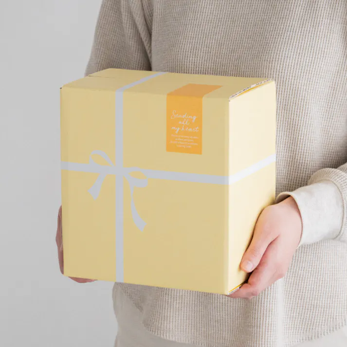 ヘッズ BOX-紙-カートン W216×D146×H234mm 10枚 HEADS CLA-HCT3