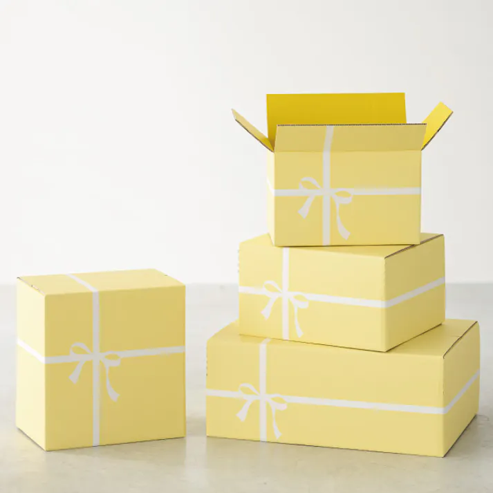 ヘッズ BOX-紙-カートン W216×D146×H234mm 10枚 HEADS CLA-HCT3