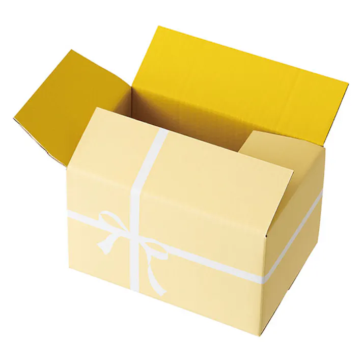 ヘッズ BOX-紙-カートン W216×D146×H142mm 10枚 HEADS CLA-HCT4