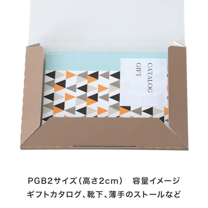 ヘッズ BOX-紙-カートン W340×D225×H20mm 20枚 HEADS CLA-PGB2
