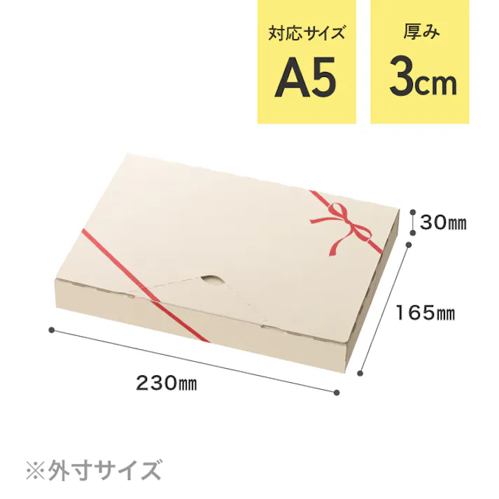ヘッズ BOX-紙-カートン W230×D165×H30mm 20枚 HEADS CLA-PGB3