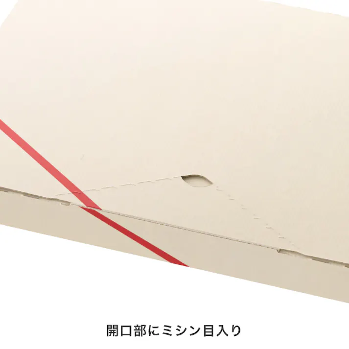 ヘッズ BOX-紙-カートン W230×D165×H30mm 20枚 HEADS CLA-PGB3