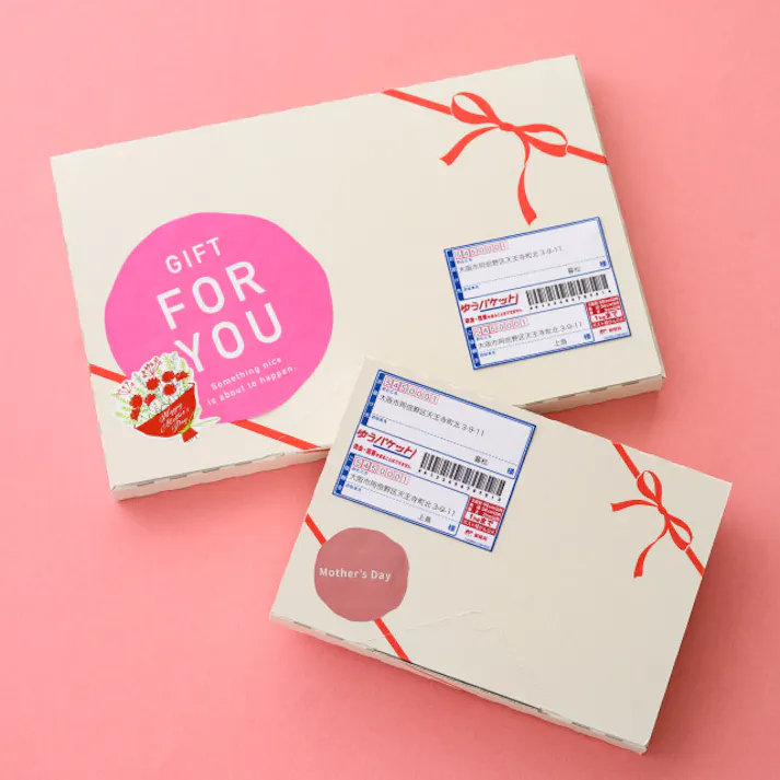 ヘッズ BOX-紙-カートン W230×D165×H30mm 20枚 HEADS CLA-PGB3