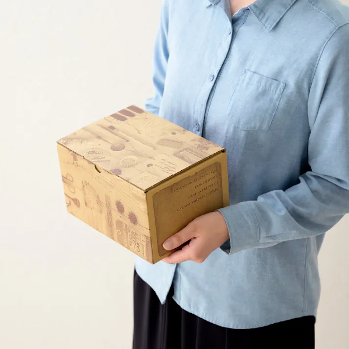 ヘッズ BOX-紙-カートン W225×D165×H135mm 10枚 HEADS CTG-CT3