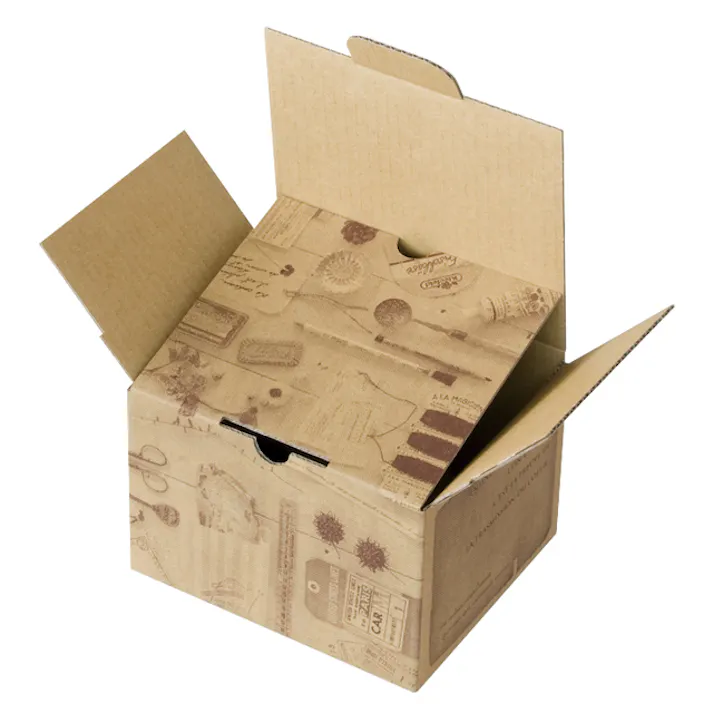 ヘッズ BOX-紙-カートン W165×D140×H115mm 10枚 HEADS CTG-CT4