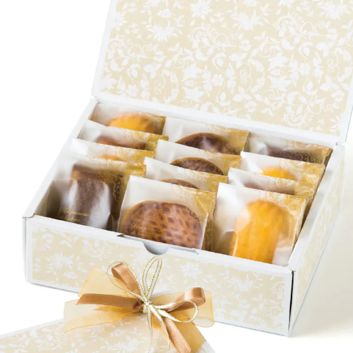 ヘッズ BOX-紙 W220×D170×H68mm 10枚 HEADS ELF-GXS