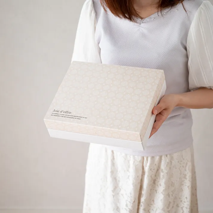 ヘッズ BOX-紙 W249×D209×H68mm 10枚 HEADS EPC-GSS