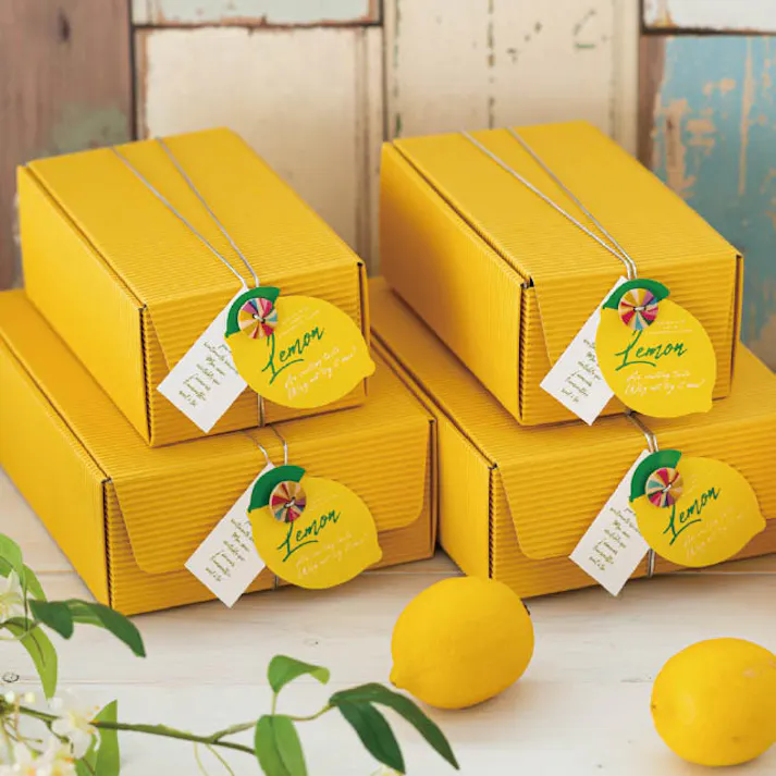 ヘッズ BOX-紙 W108×D170×H68mm 10枚 HEADS FUY-GBS