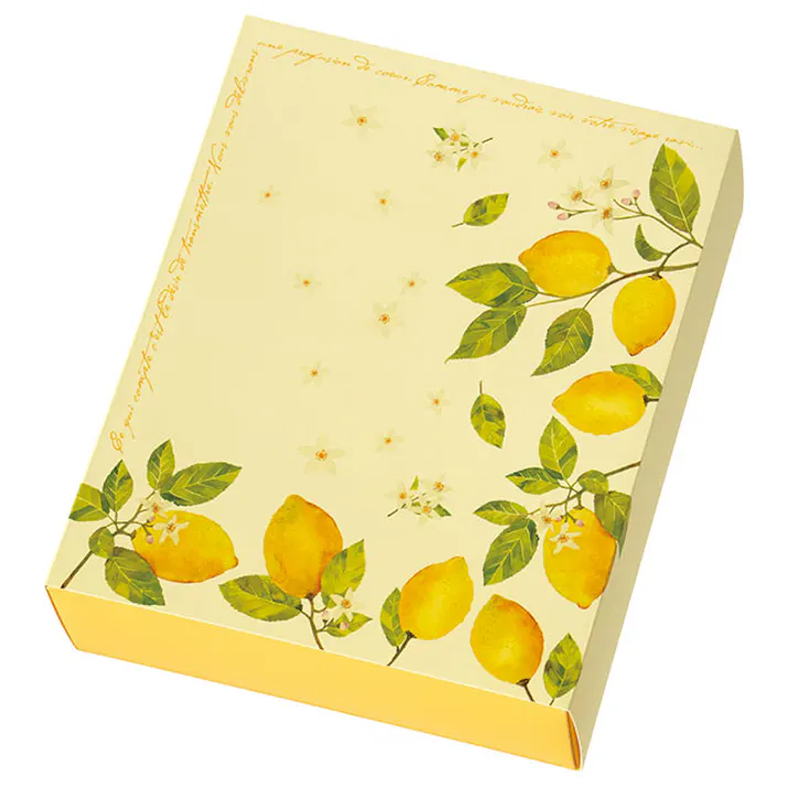 ヘッズ BOX-紙 W202×D247×H72mm 10枚 HEADS LEM-SB1