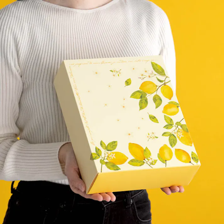 ヘッズ BOX-紙 W202×D247×H72mm 10枚 HEADS LEM-SB1