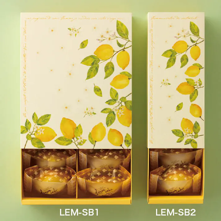 ヘッズ BOX-紙 W202×D247×H72mm 10枚 HEADS LEM-SB1