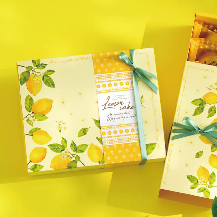 ヘッズ BOX-紙 W202×D247×H72mm 10枚 HEADS LEM-SB1