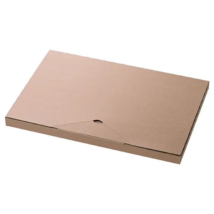 ヘッズ BOX-紙-カートン W340×D225×H20mm 20枚 HEADS MCP-PGB2