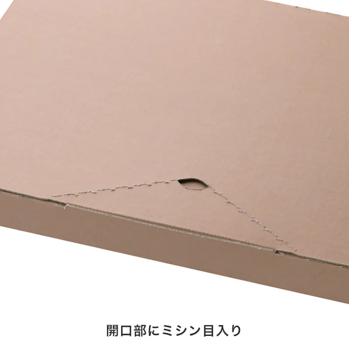 ヘッズ BOX-紙-カートン W340×D225×H20mm 20枚 HEADS MCP-PGB2