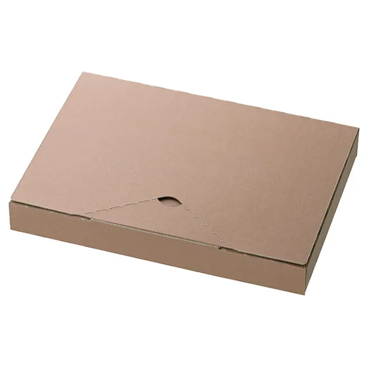 ヘッズ BOX-紙-カートン W230×D165×H30mm 20枚 HEADS MCP-PGB3