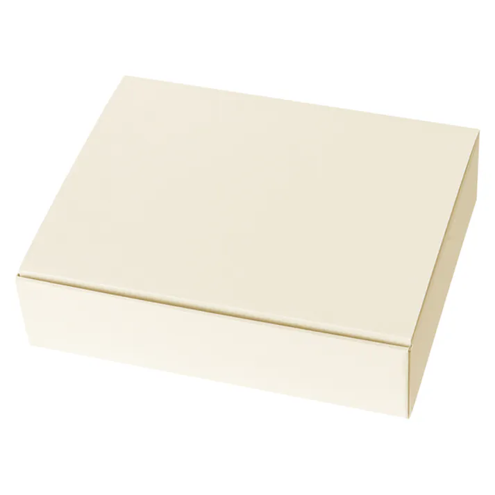 ヘッズ BOX-紙 W240×D195×H60mm 20枚 HEADS MOW-GSS