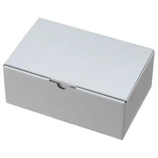 ヘッズ BOX-紙 W228×D148×H90mm 10枚 HEADS MSG-GB10