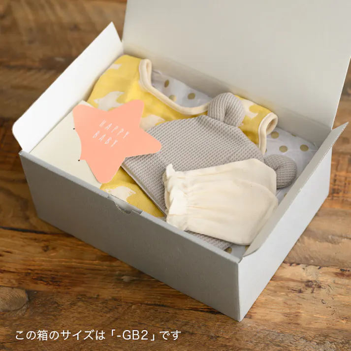 ヘッズ BOX-紙 W228×D148×H90mm 10枚 HEADS MSG-GB10