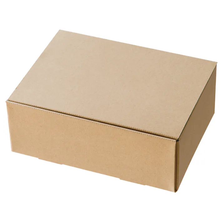 ヘッズ BOX-紙 W272×D205×H102mm 10枚 HEADS MSM-GB5