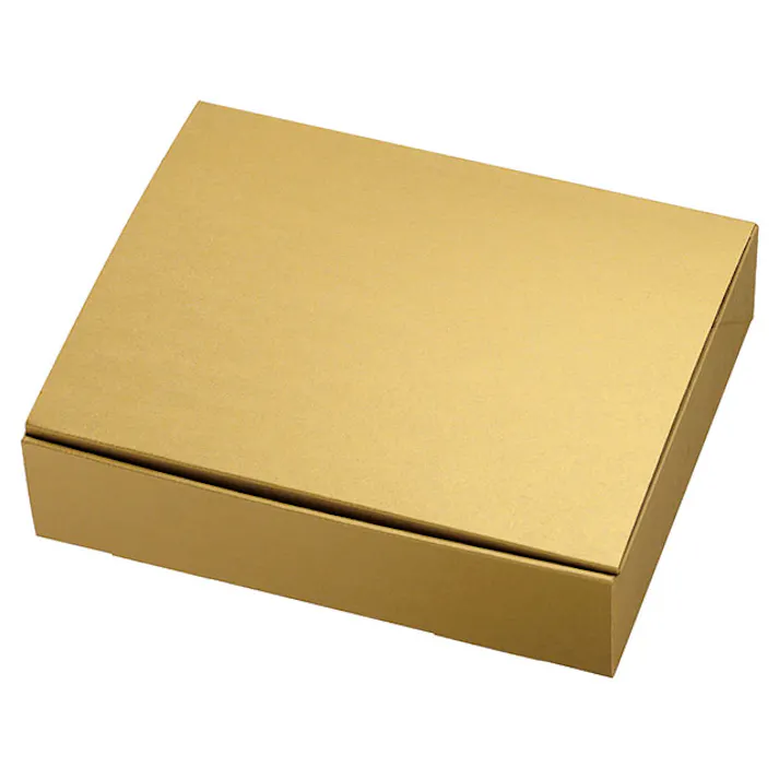 ヘッズ BOX-紙 W242×D196×H60mm 20枚 HEADS MTG-GB2