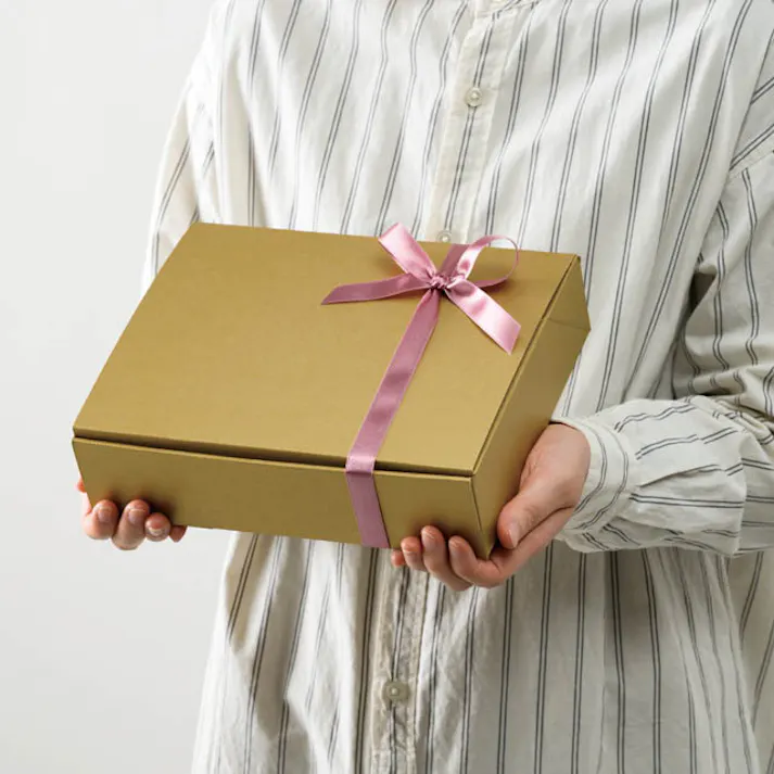 ヘッズ BOX-紙 W242×D196×H60mm 20枚 HEADS MTG-GB2