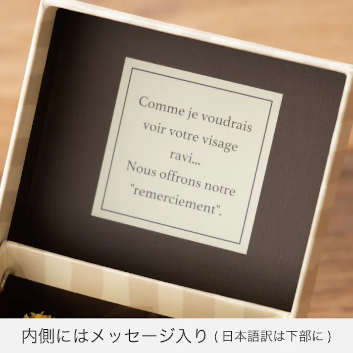 ヘッズ BOX-紙 W103×D103×H90mm 6個 HEADS NST-HBS