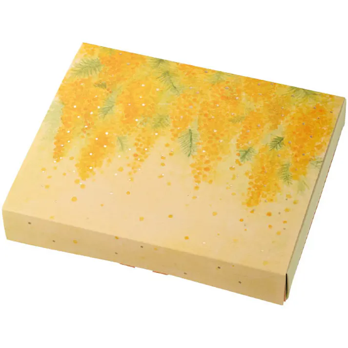 ヘッズ BOX-紙 W227×D185×H37mm 10枚 HEADS SPR-SB1