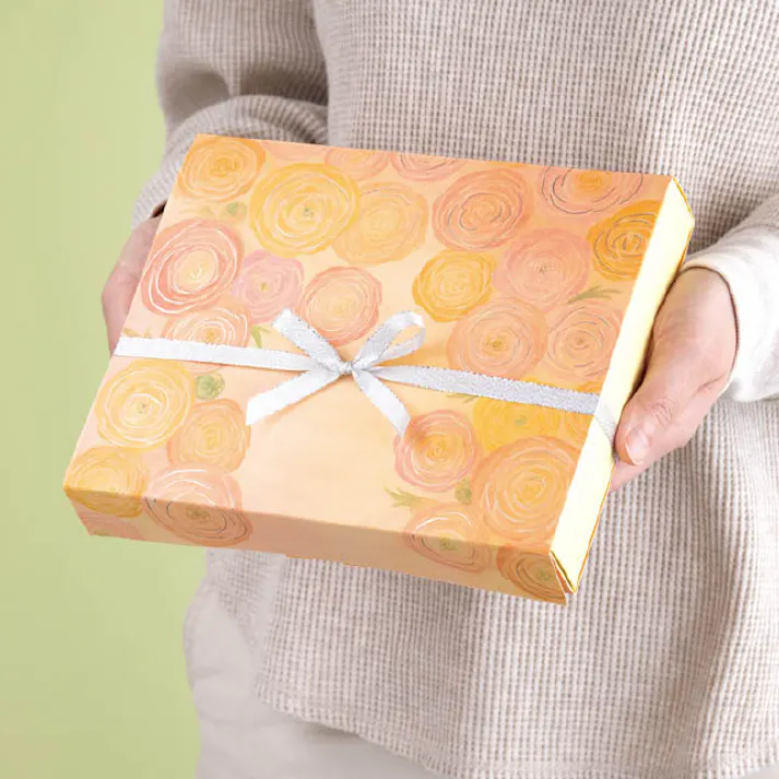 ヘッズ BOX-紙 W227×D185×H37mm 10枚 HEADS SPR-SB1