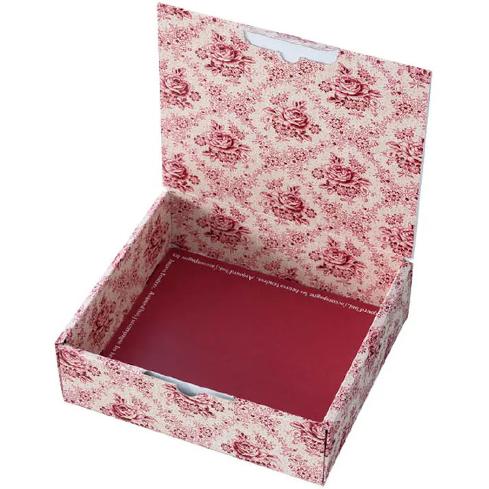 ヘッズ BOX-紙 W233×D205×H70mm 10枚 HEADS VFS-GM